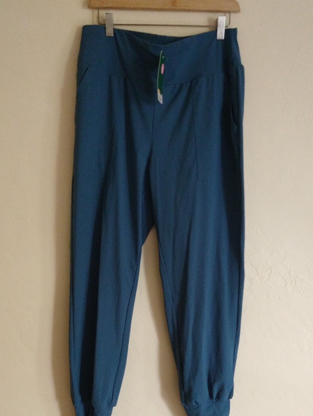 Halara Teal Jogger Pants Size L